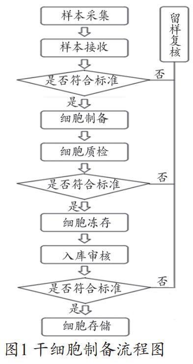 干细胞制备流程图